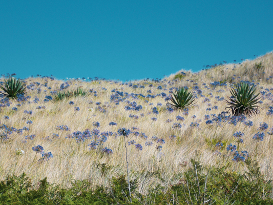 Torquay Pier Hafen Cornwall England