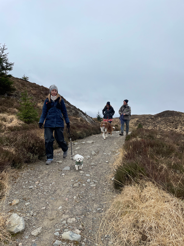 Wandern mit Hund Arran