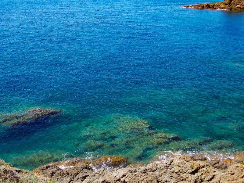 Wandern mit Hund Schottland